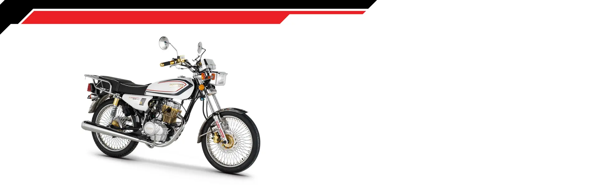www.cardillamotor.com (3)