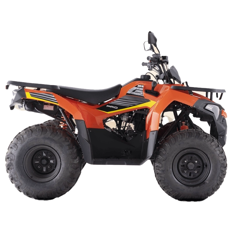 LONCIN XWOLF 250 PRO